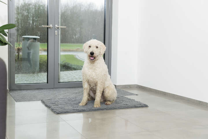 TRIXIE Schmutzfangmatte